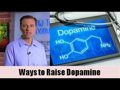 Natural Ways To Raise Dopamine Levels Dr Berg