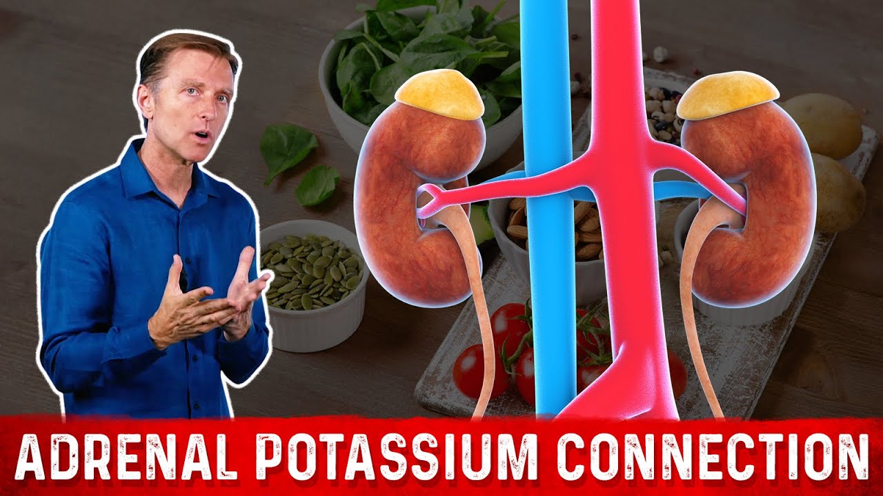 The Adrenal Potassium Connection Dr Berg