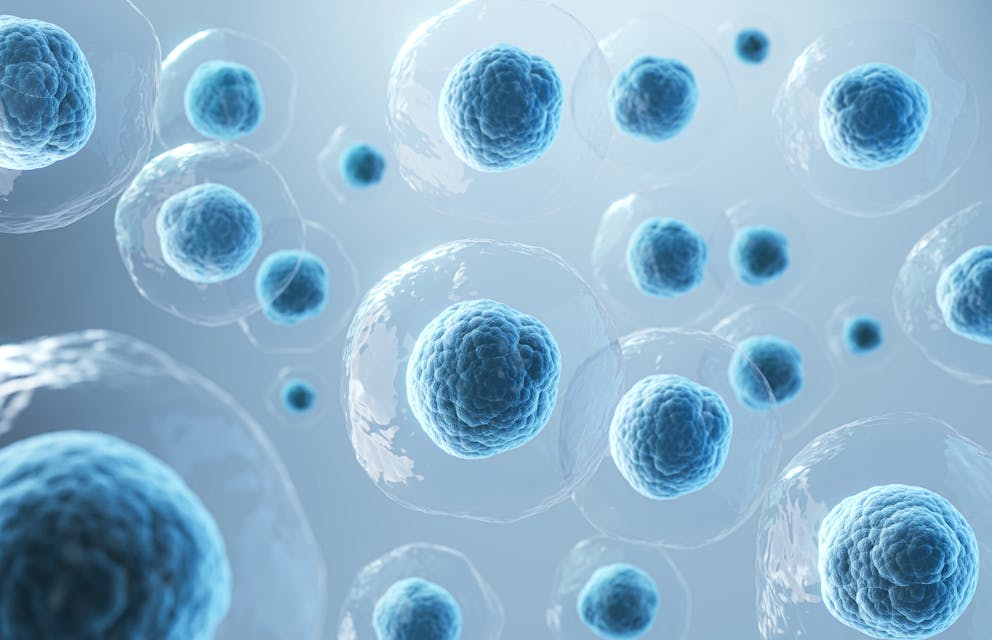 Human cells illustration