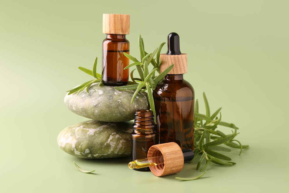 Rosemary plant and essential oil