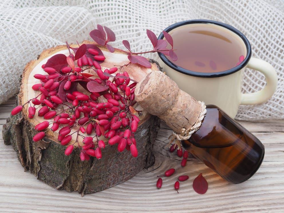 berries and tea