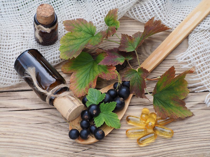 7 Incredible Black Currant Seed Oil Benefits Dr. Berg