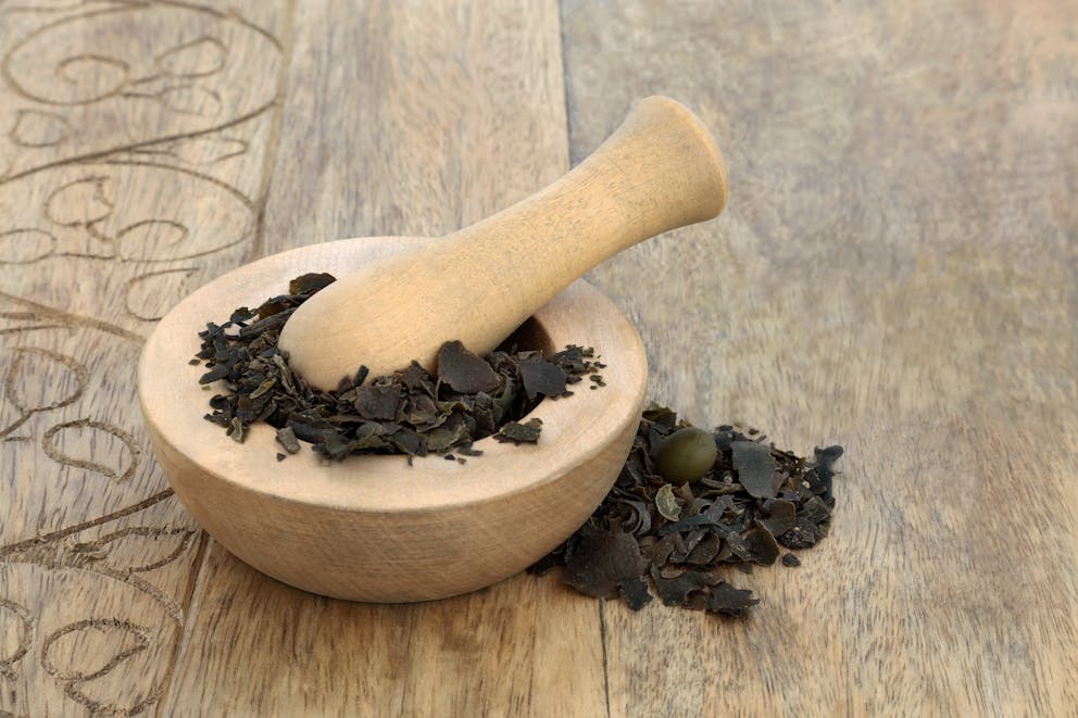 herbal medicine in pestle and mortar