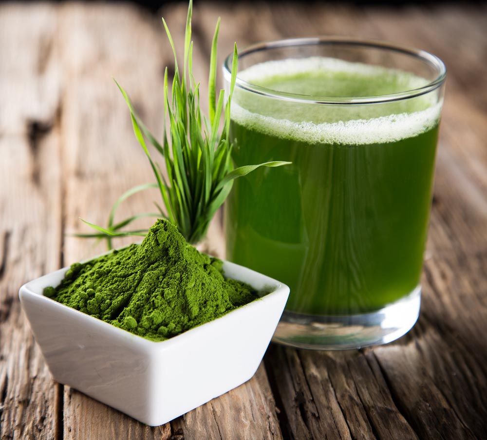 A dish of wheatgrass powder and a cup of wheatgrass juice on a wooden table.