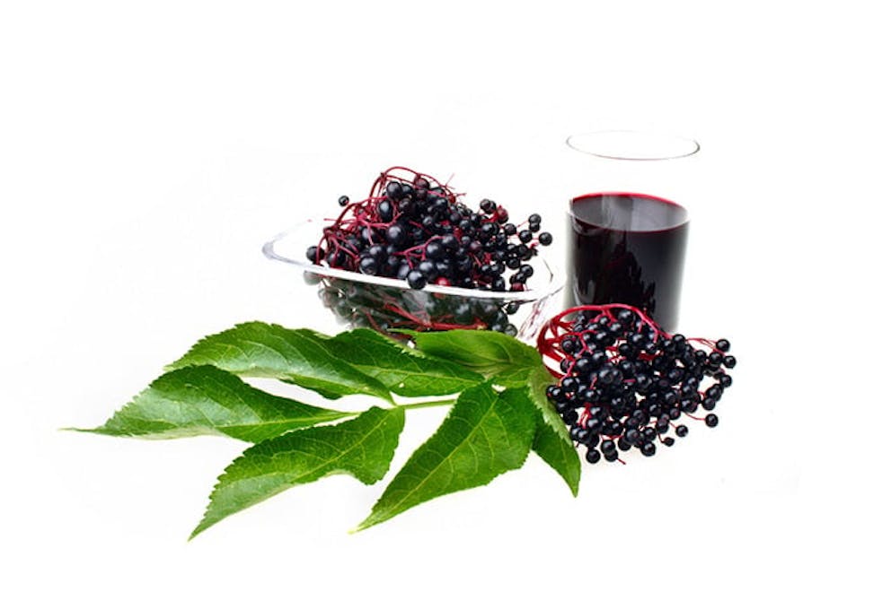 Elderberry leaves and berries in dish next to elderberry syrup herbal remedy on white background.