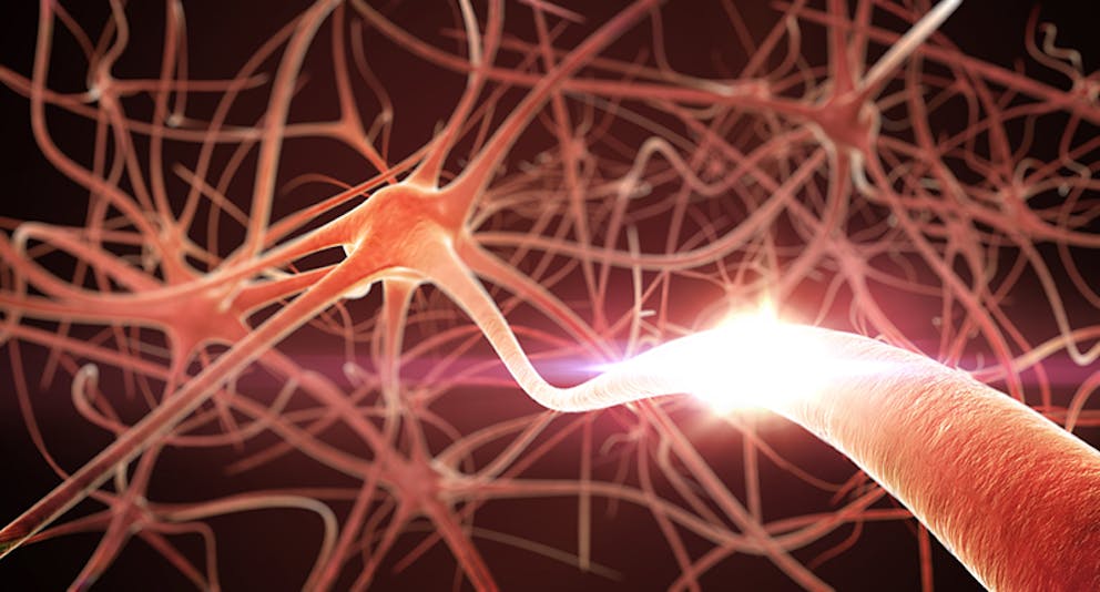 Illustration of nerves in nervous system, interconnected and communicating with each other, neurons.