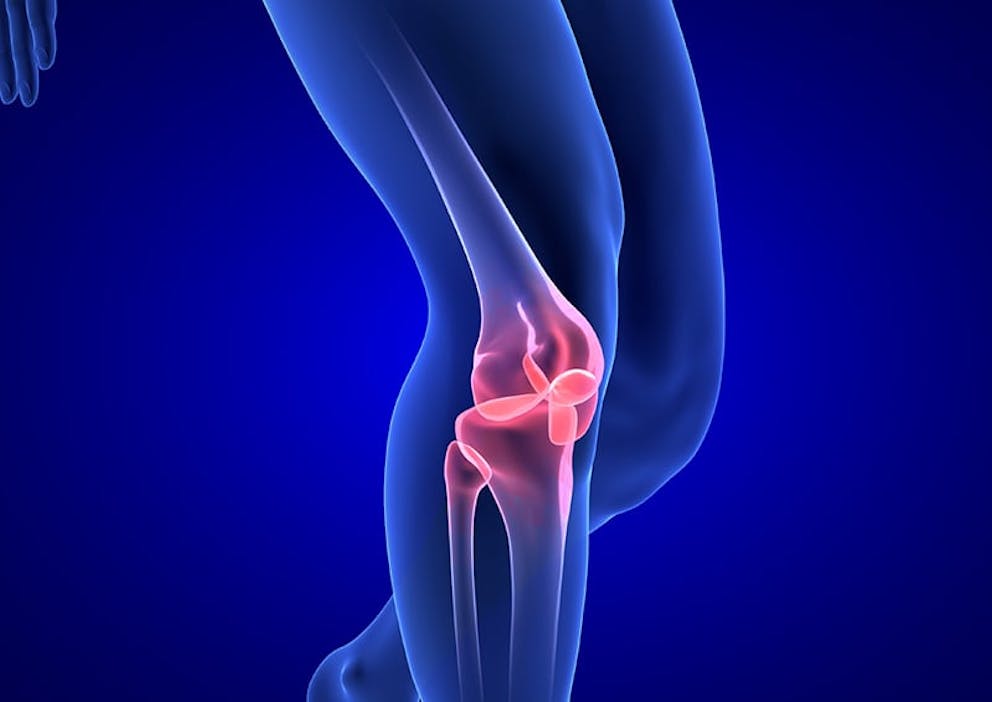 Medical illustration of knee joint, collagen and connective tissue on blue background.