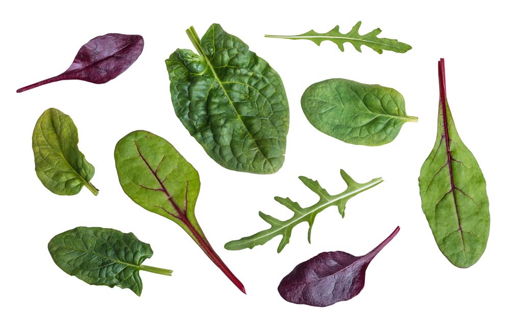 Leaves of green vegetables like spinach, chard, beet, and arugula | 6 keto tips for a sluggish gallbladder
