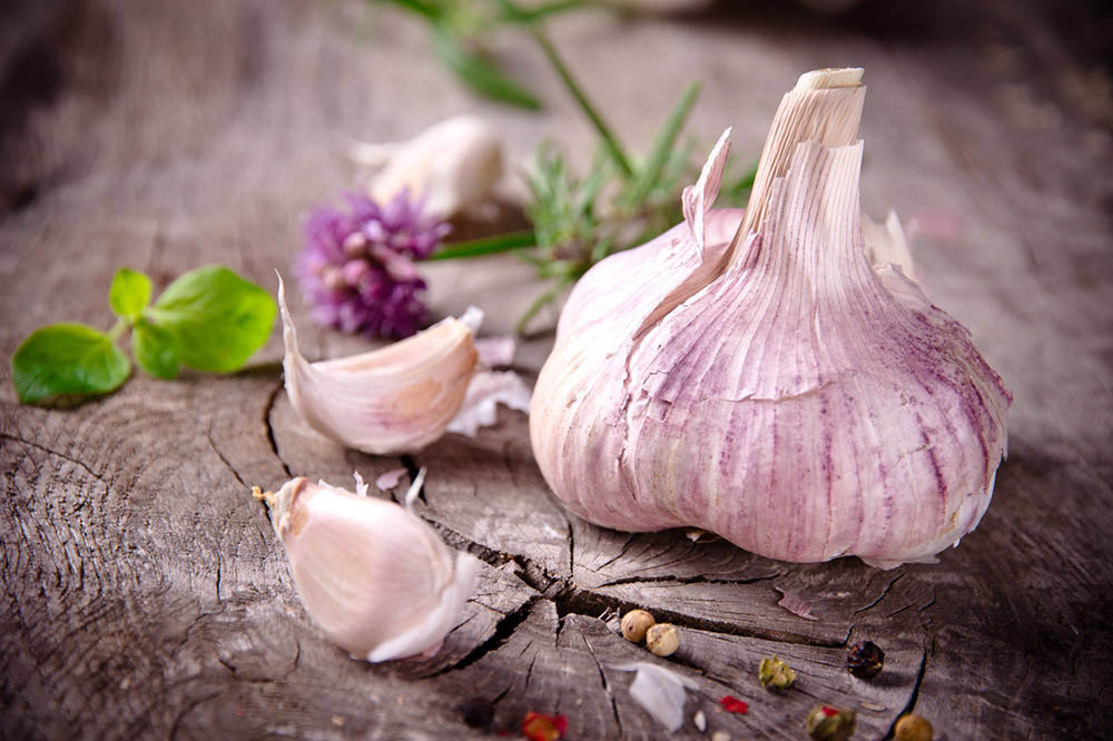Head of garlic and garlic cloves on a wooden background with fresh herbs and spices.