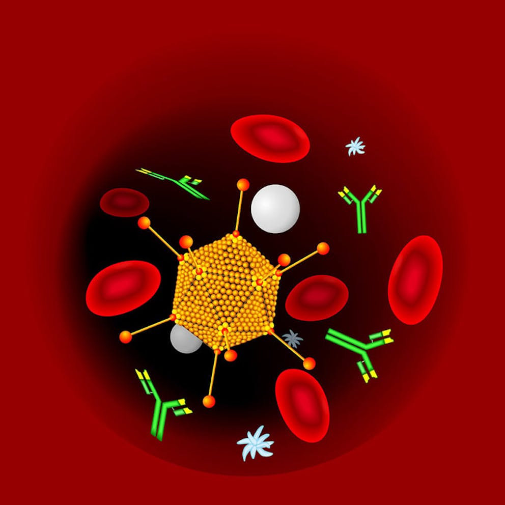 Illustration of immune system and antibodies attacking foreign invader virus.