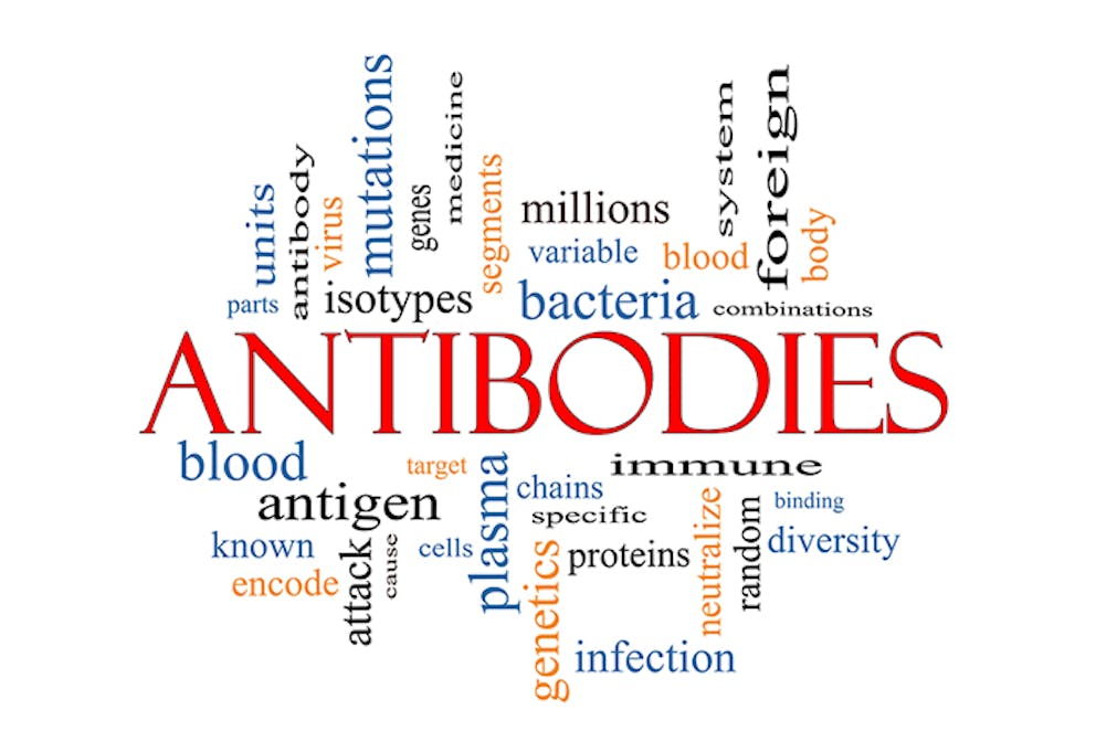an antibodies word cloud