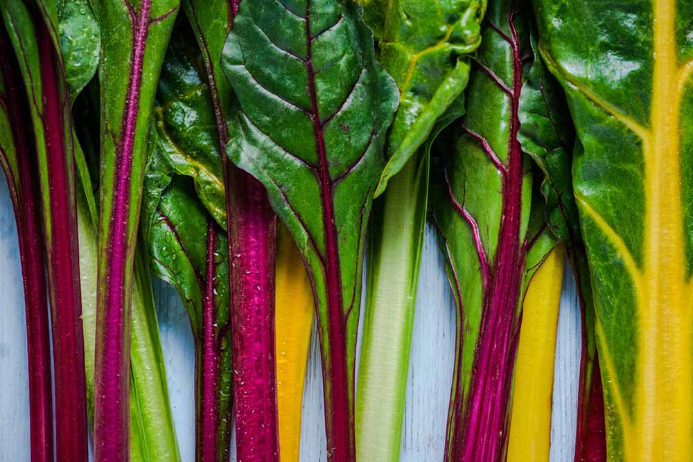 Rainbow Swiss chard lined up with leaves and colorful stalks | Bananas are not the best source of potassium