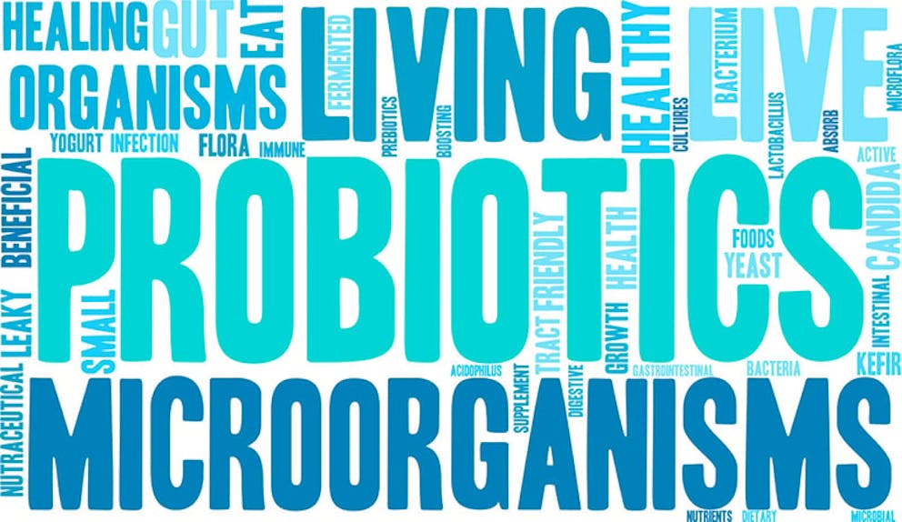 Blue word cloud for probiotics, words like microorganism, living, healthy, gut, friendly bacteria.
