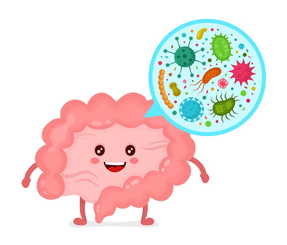 Cartoon illustration of digestive system with microbes, gut flora, gut bacteria, friendly probiotics.