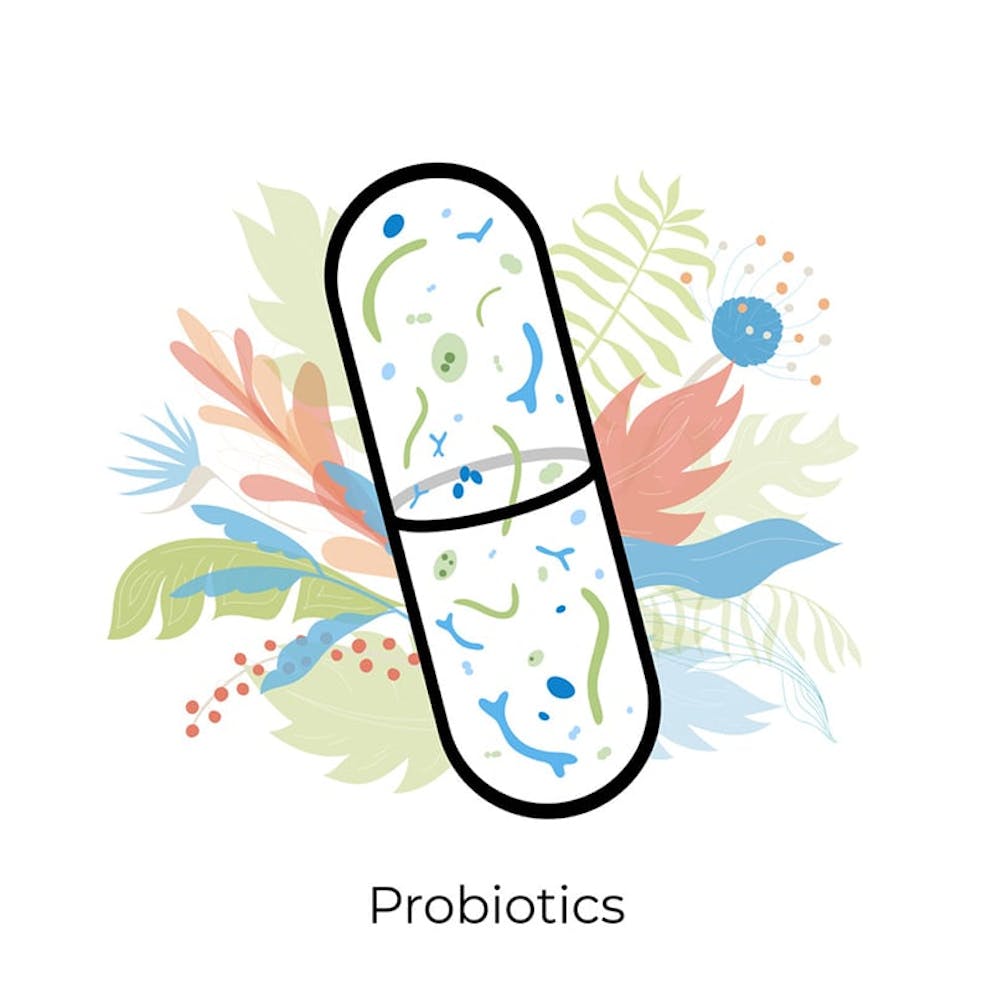 Illustration of probiotic supplement pill, friendly bacteria, good bacteria, lactic acid bacteria.