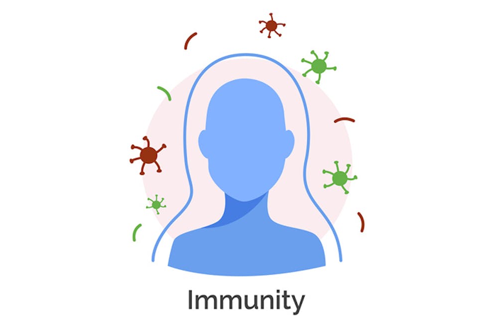 Cartoon drawing of human head with immunity shield around, protected from viruses and pathogens.