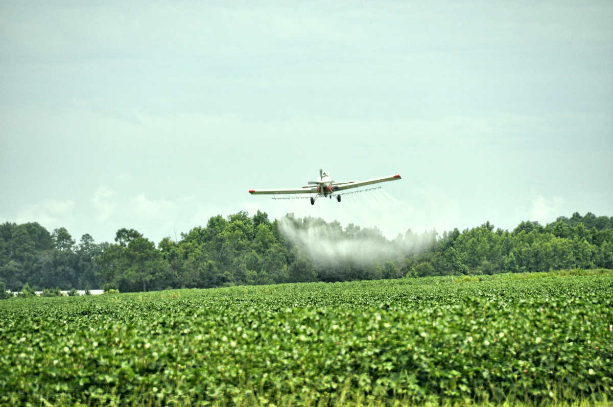 Airplane crop duster | How to Detox GMO Chemicals From Your Body [INFOGRAPHIC]