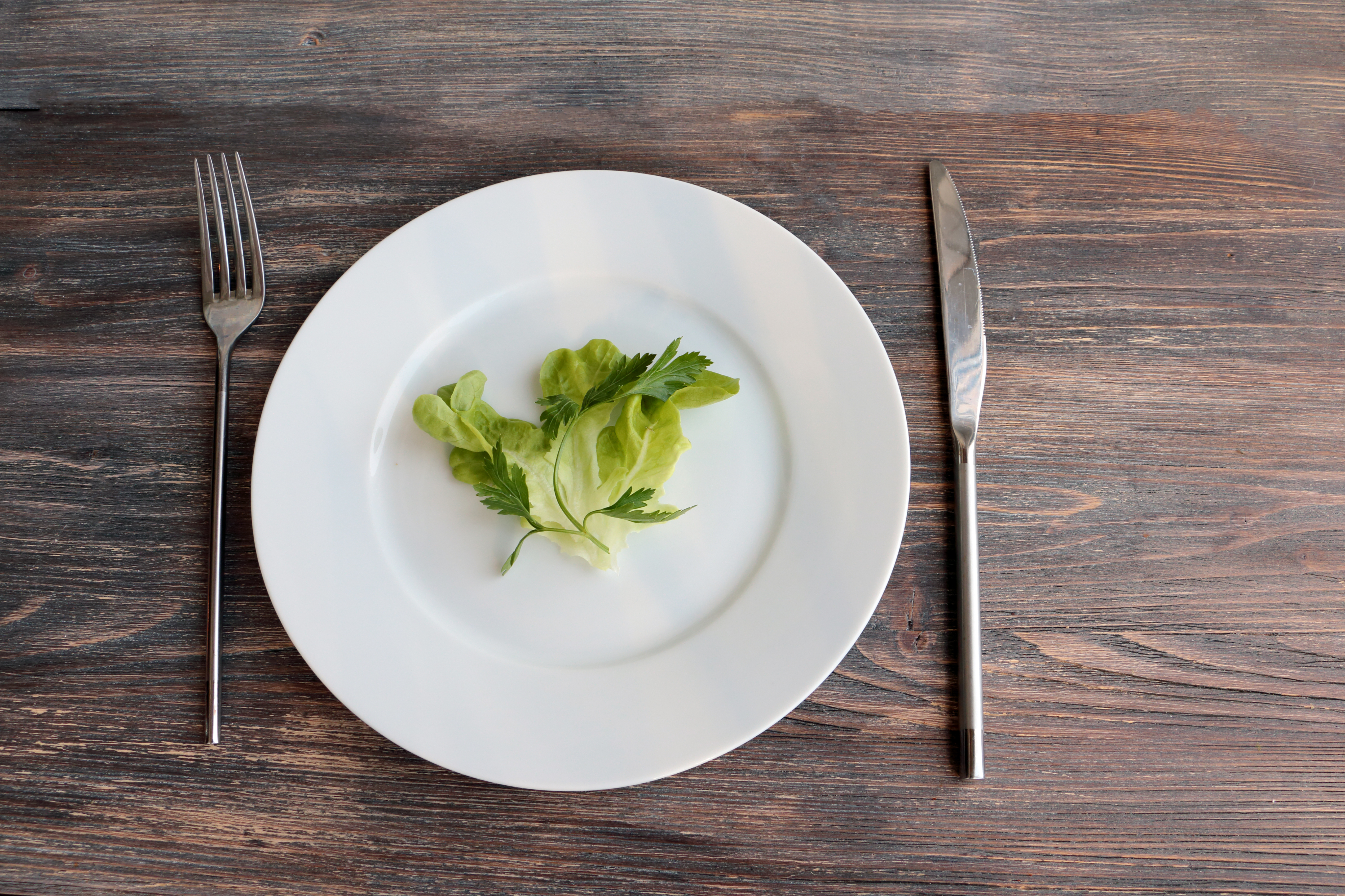 Plate with salad