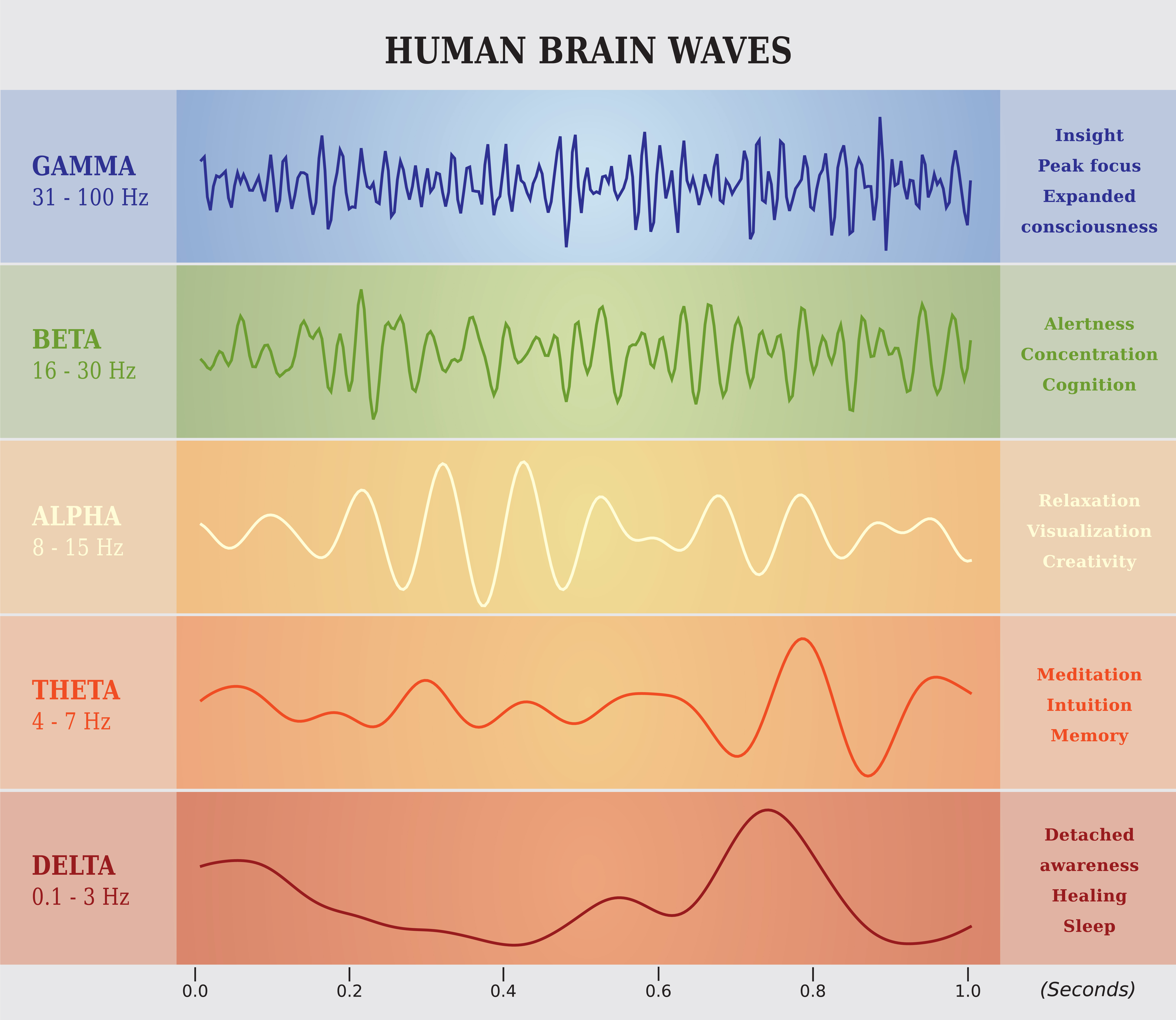 Brain waves