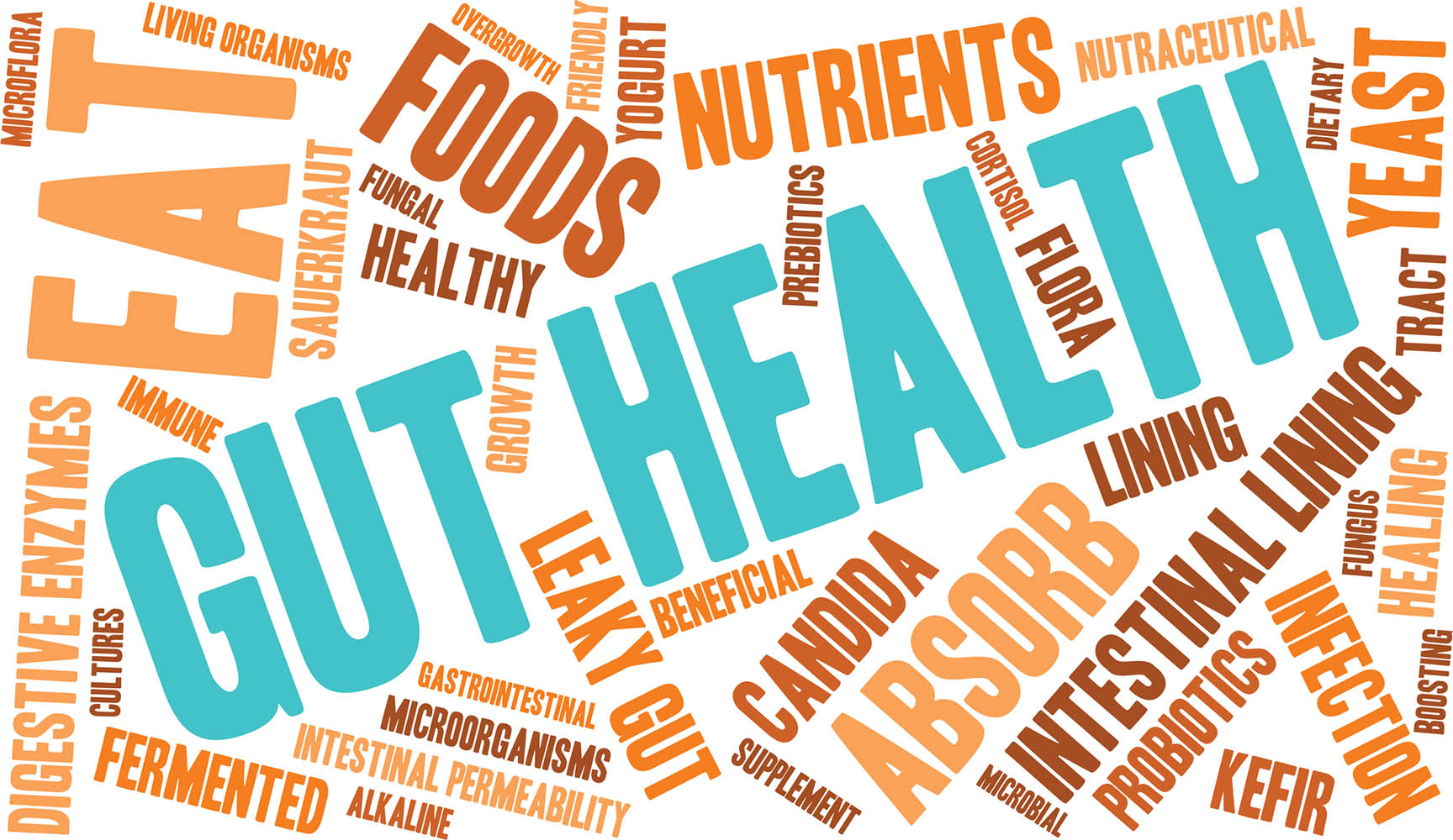 gut health word cloud | Ghee Benefits on Health