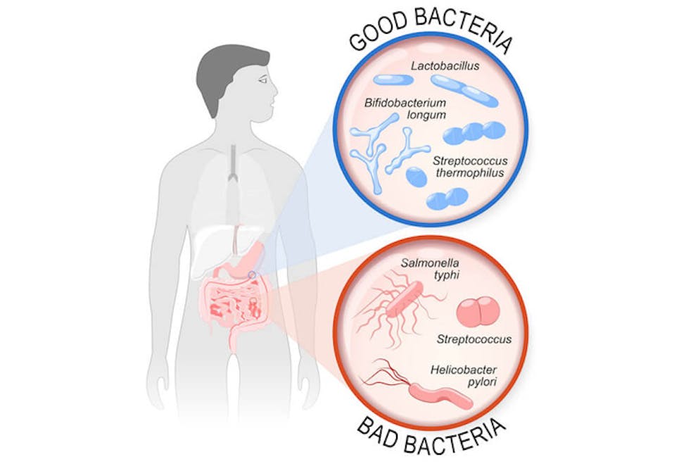 A man next to a comparison of gut bacteria and bad bacteria.