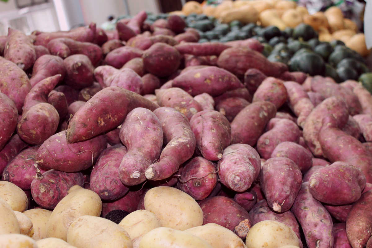 Sweet potatos and potato | Can I Use Herbs and Tubers When I’m On A Ketogenic Diet?