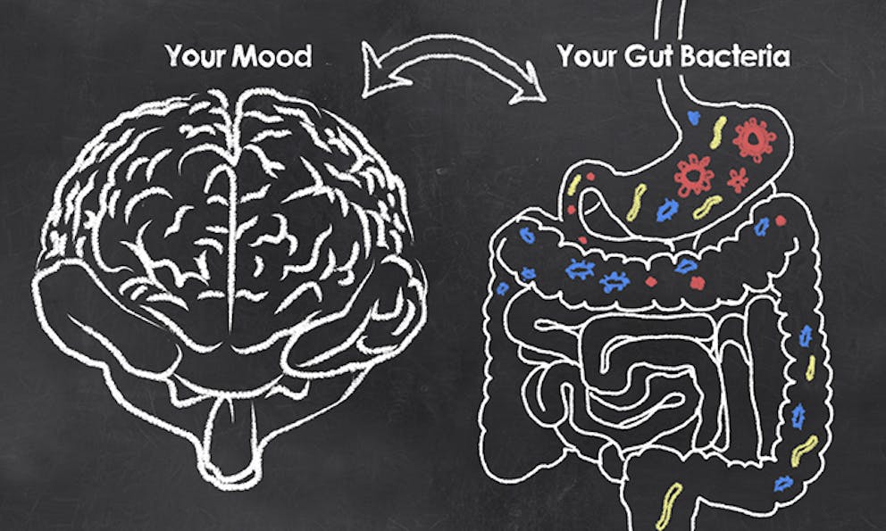 The brain-gut connection is super important for physical and mental health