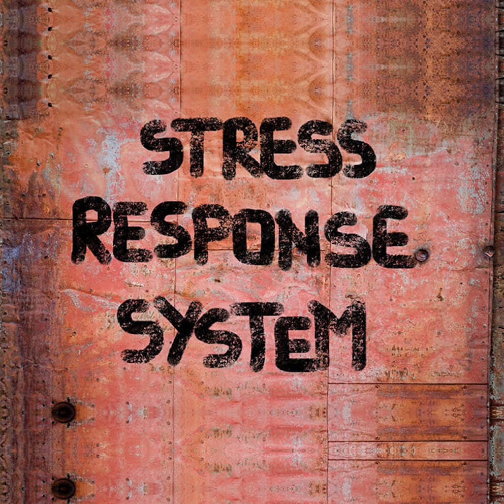 a hand-lettered sign that reads Stress Response System