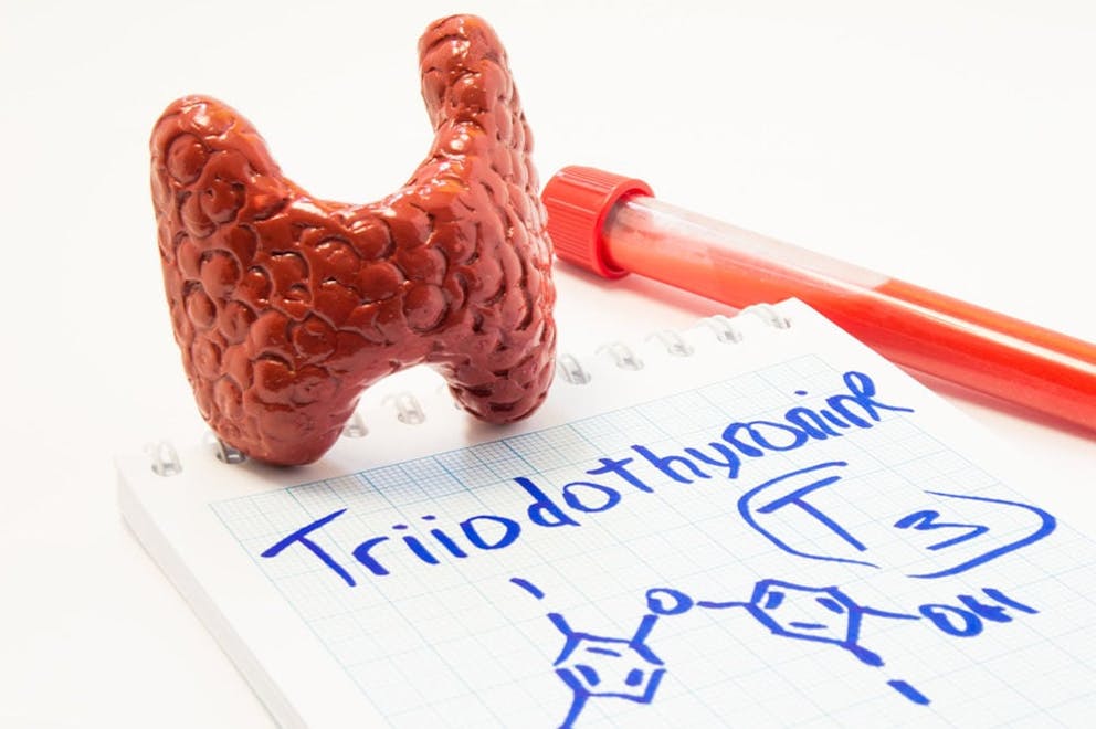 Thyroid gland 3D model with drawing of T3 thyroid hormone and vial of blood.