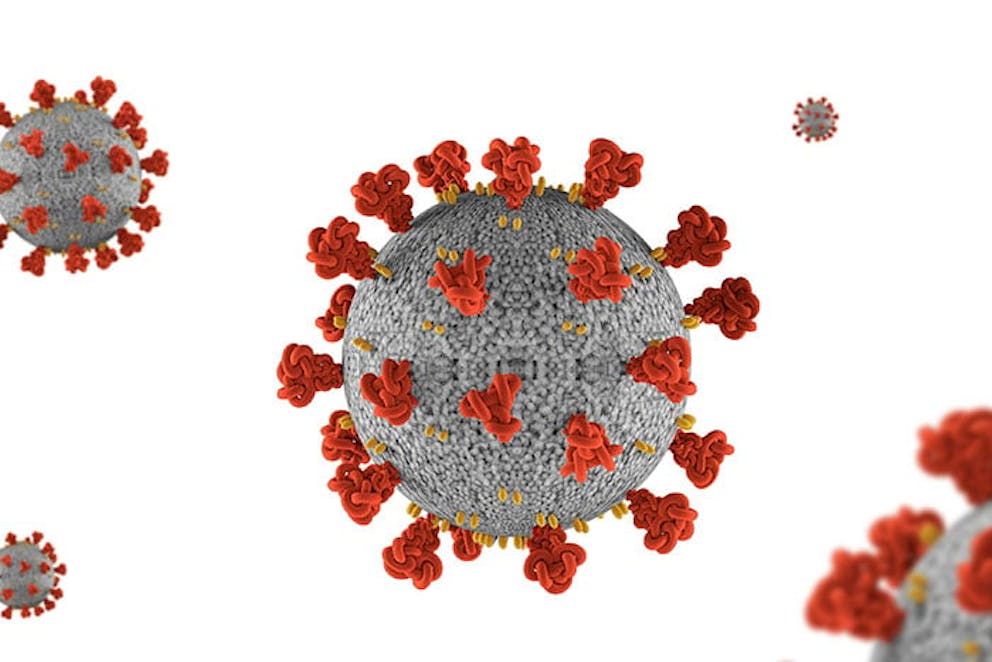 a microscopic illustration of the coronavirus that causes COVID 19