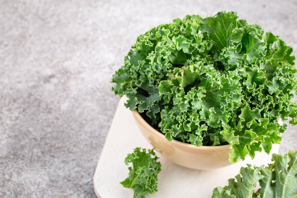 Bowl of fresh curly kale on a grey table, healthy cruciferous vegetable.