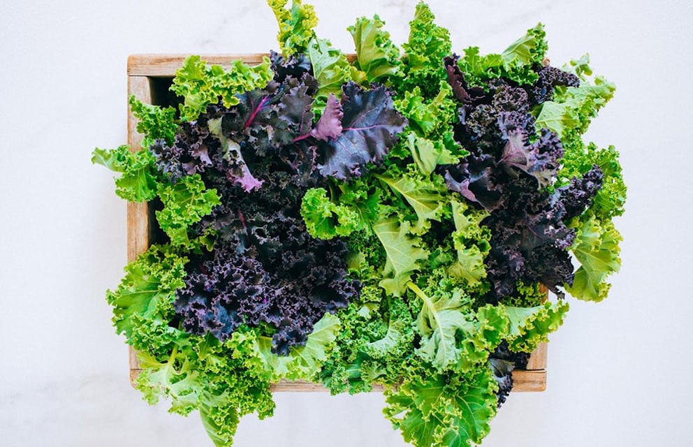 Box of fresh green and purple kale, healthy leafy greens.