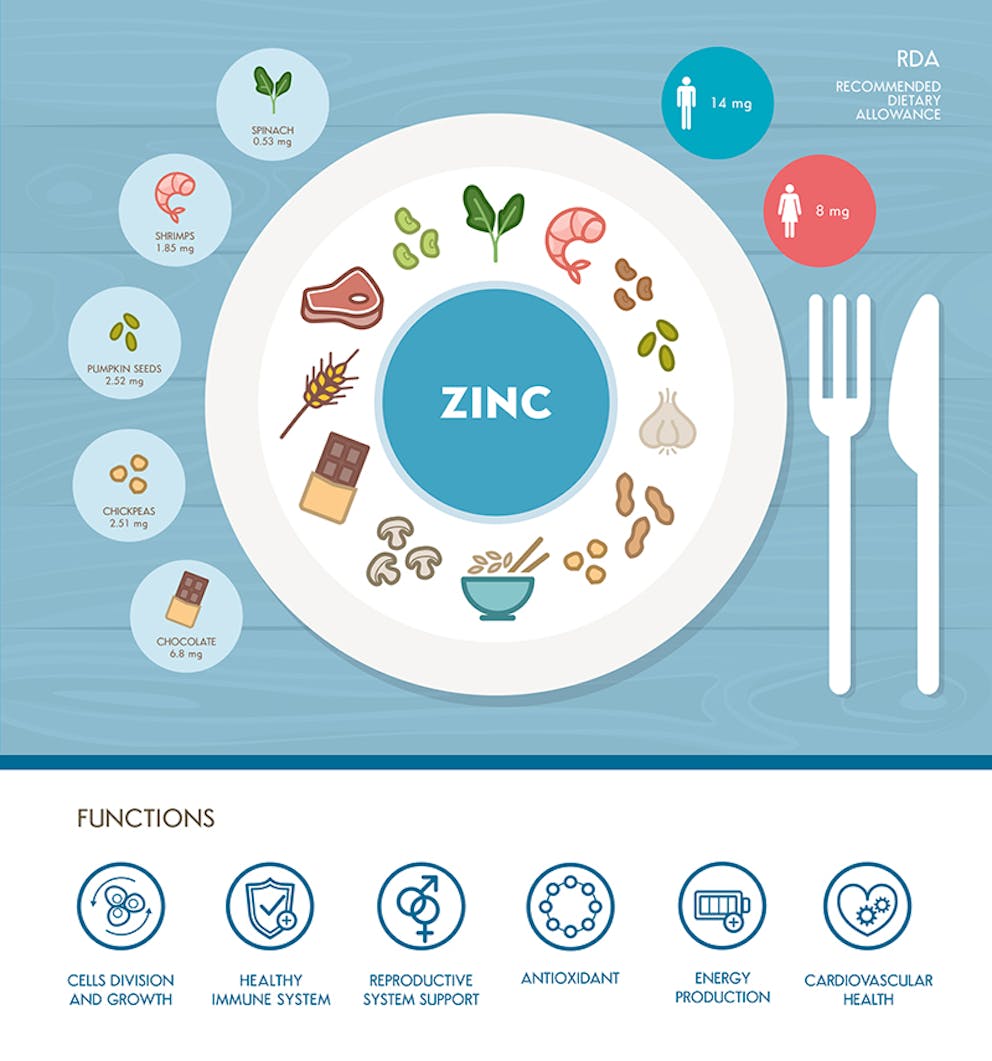 Zinc is necessary for healthy thyroid function 