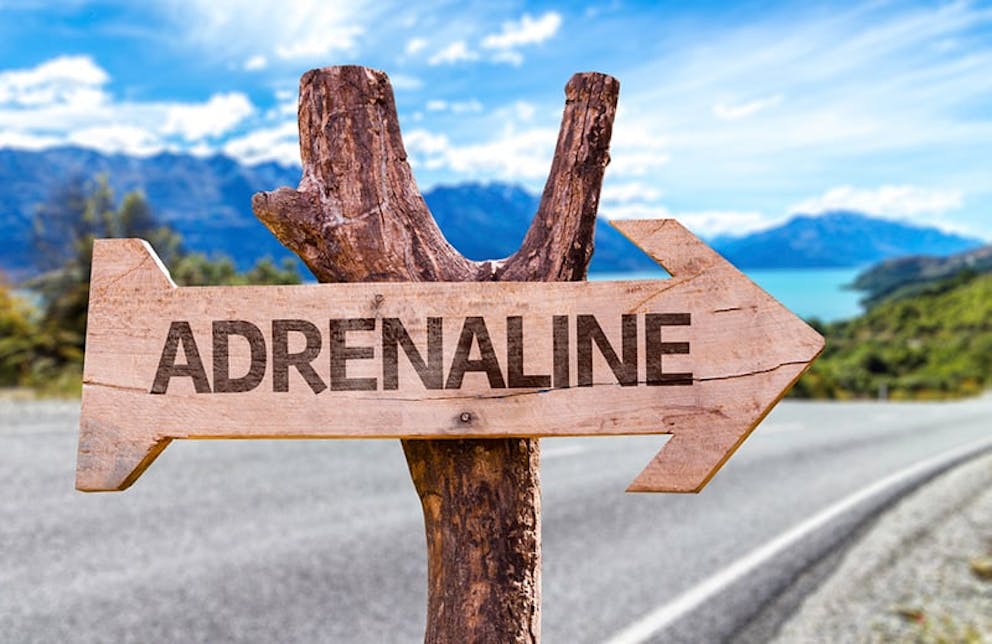 Wooden arrow sign says Adrenaline, mountain road background.