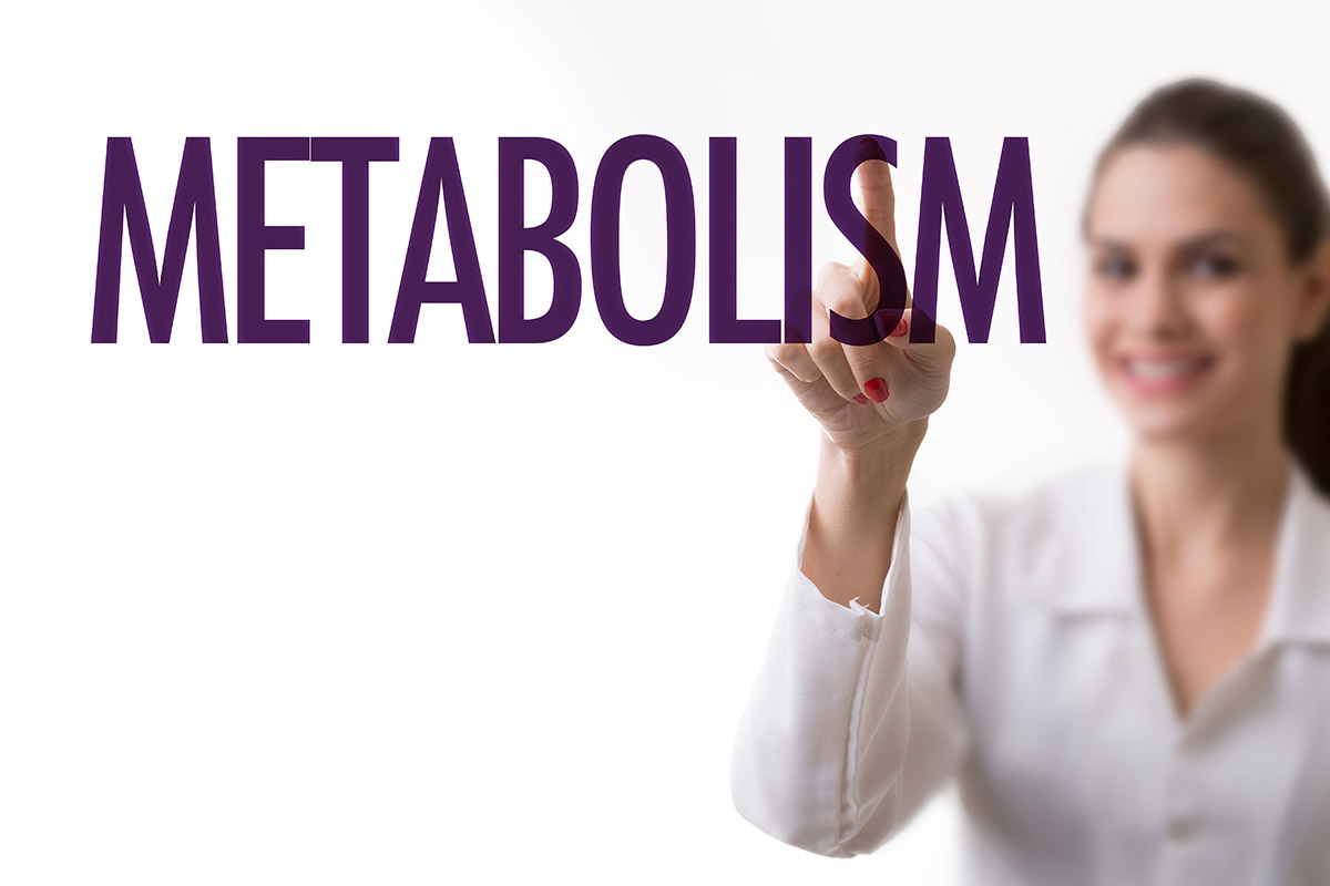  Woman handwriting the word metabolism | 10 Best Fat Burning Foods