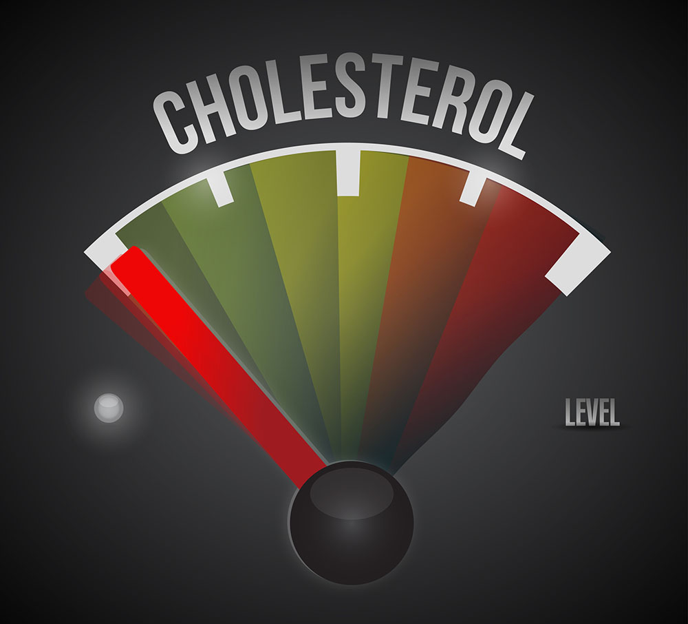 a gauge indicating cholesterol levels