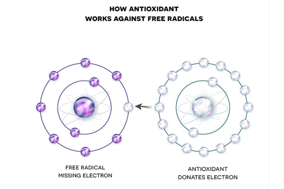 Illustration of how antioxidants work against free radicals showing electron donation.