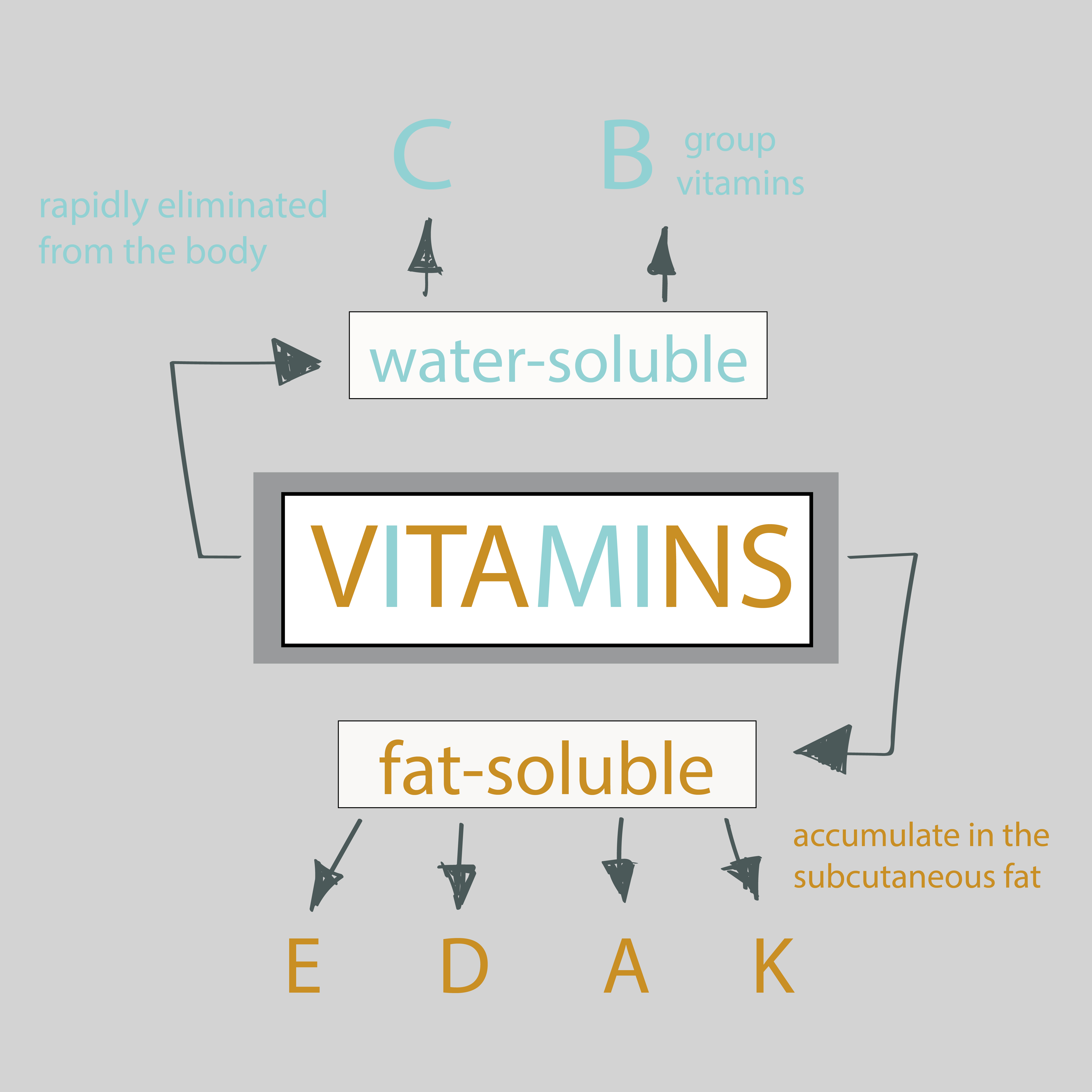 Water soluble vs fat soluble