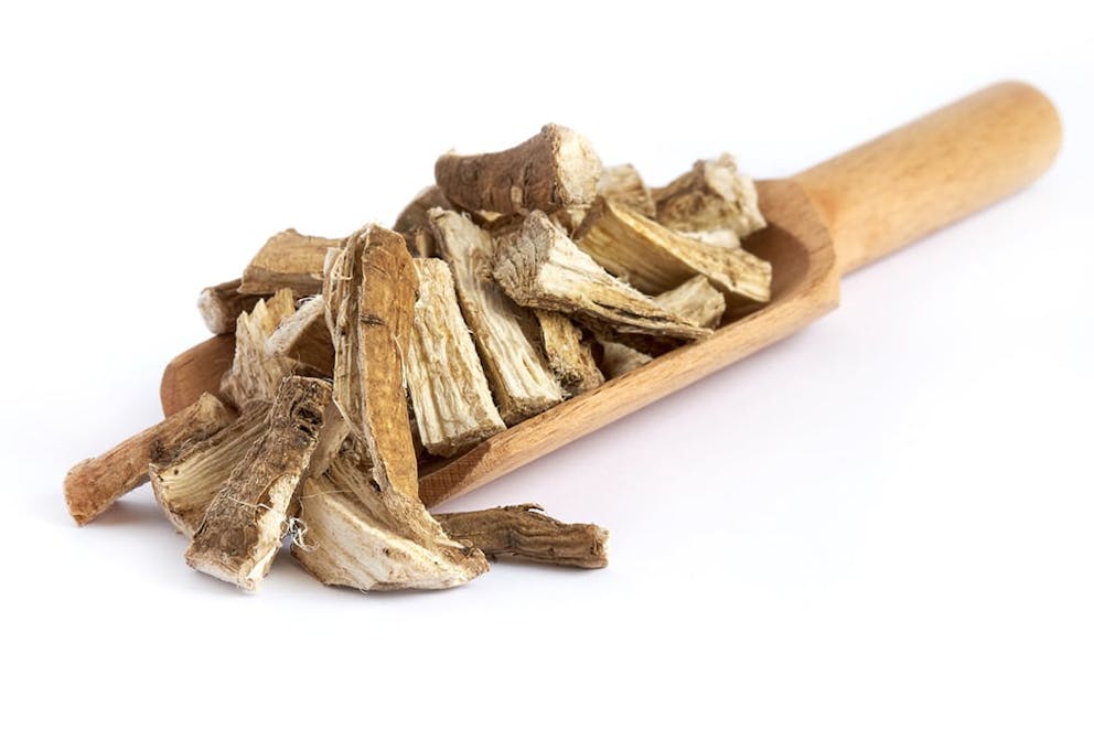 Wooden spoon full of dried marshmallow root on white background.