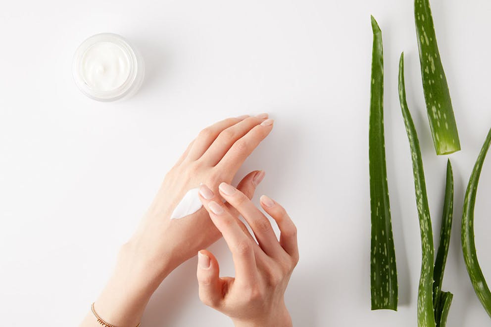 Woman’s hands applying aloe hand cream to skin, with aloe vera leaves on white background.