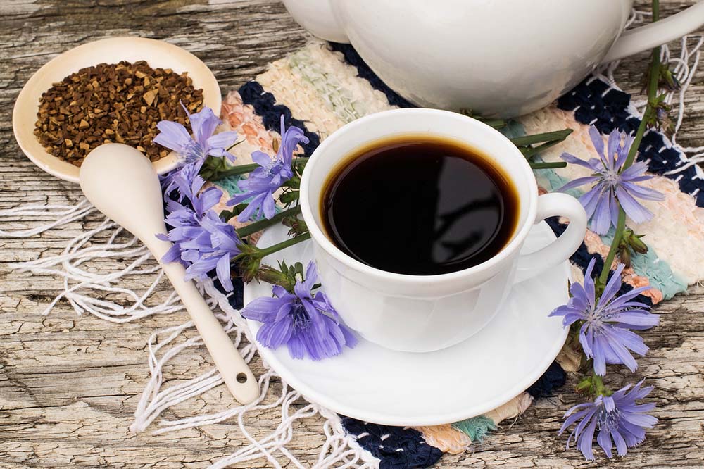 Coffee substitute made from chicory root in a white mug with chicory flowers and roots on a wooden table