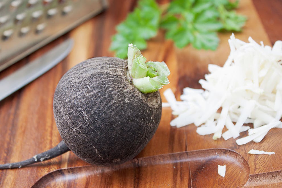 Healthy black radish root superfood with grater and grated radish in background.