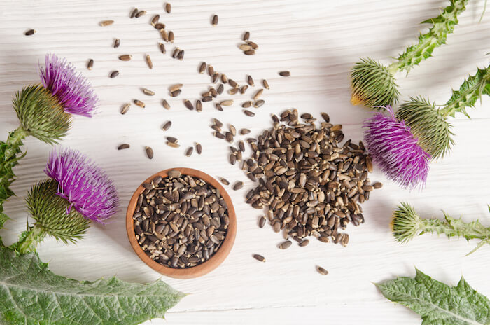Milk thistle plants and seeds on a white wood surface. | Natural Remedies for Hepatitis C
