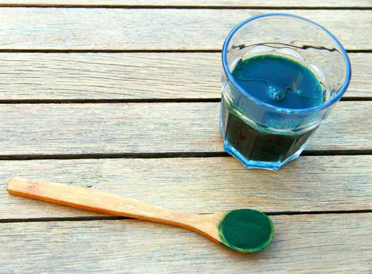 Spirulina | The Best Weight Loss Meal Replacement Shake Ingredients