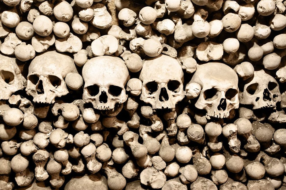 Skulls and bones in pile, bone evidence.