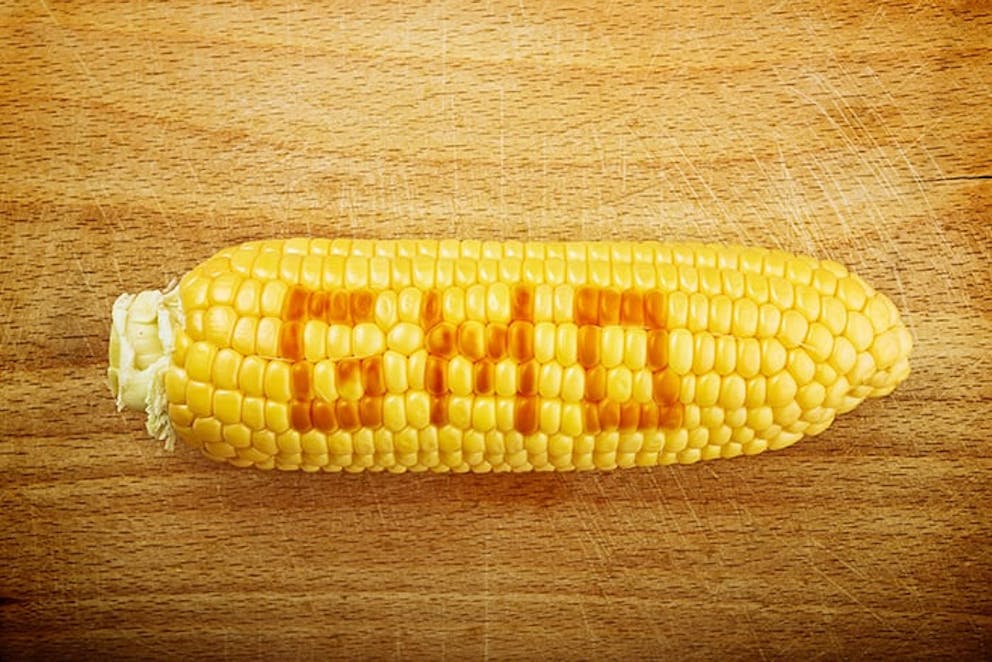 GMOs are linked to health concerns