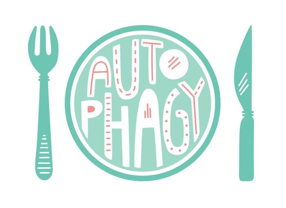 A plate with a fork and knife on either side and the word autophagy written in the middle | <u>The Effects of Autophagy on Infection</u>