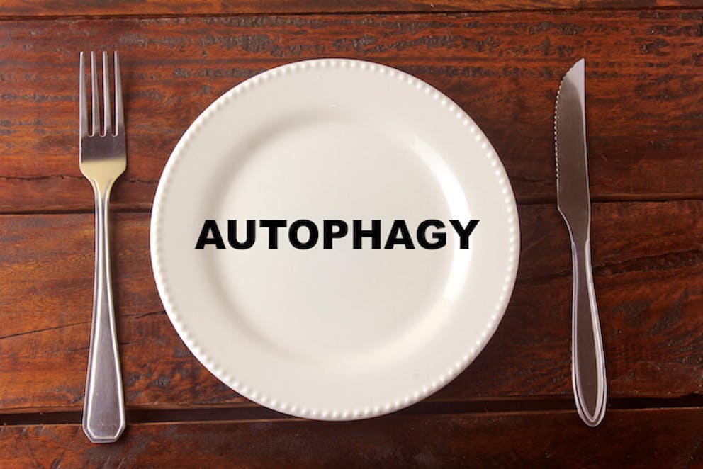 A white plate with the word “autophagy” written across it sitting on a wooden table next to a fork and knife | The Most Important Benefit of Autophagy Will Surprise You