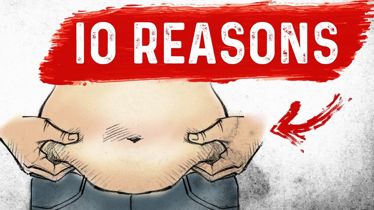 Top Reasons Why Your Belly Is Not Shrinking on Keto Dr. Berg