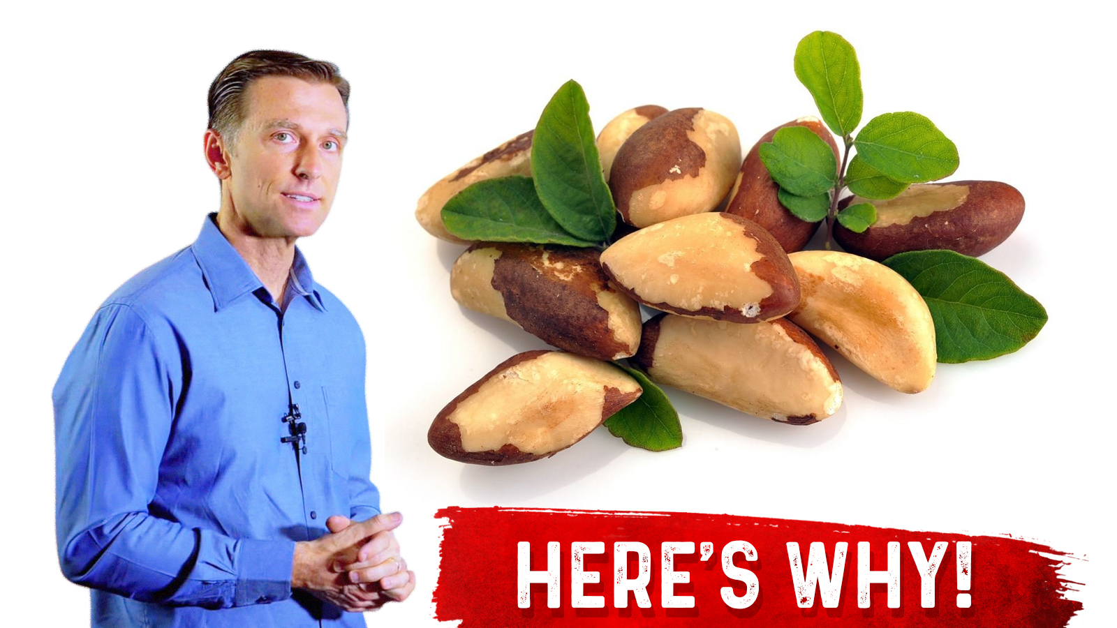 Brazil Nuts And Selenium The Unexpected Truth Healthy Keto™ Dr. Berg